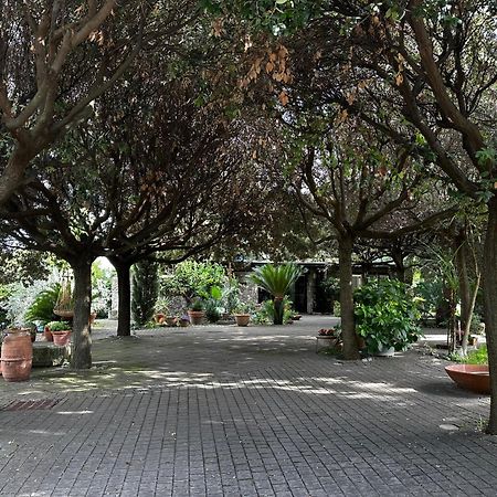 Апартаменты Borgo De' Paolis Гроттаферрата Экстерьер фото